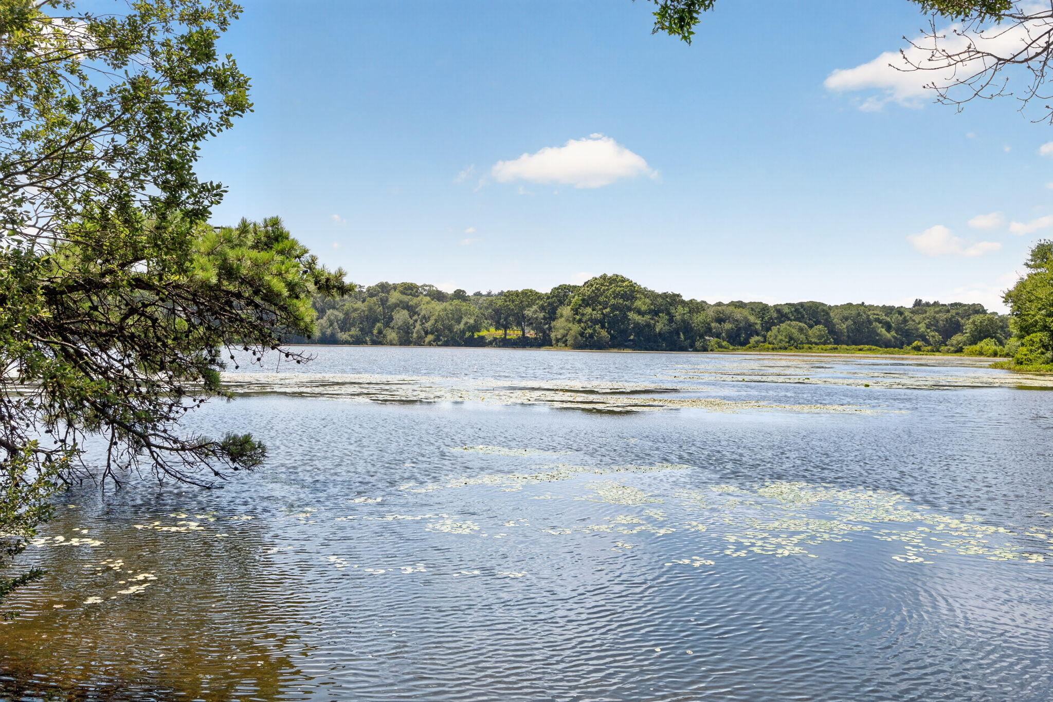 769 River Road Marstons Mills, MA 02648 - Photo 7 of 53 14-9L4A1087