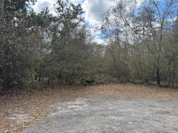a view of a dry yard with trees