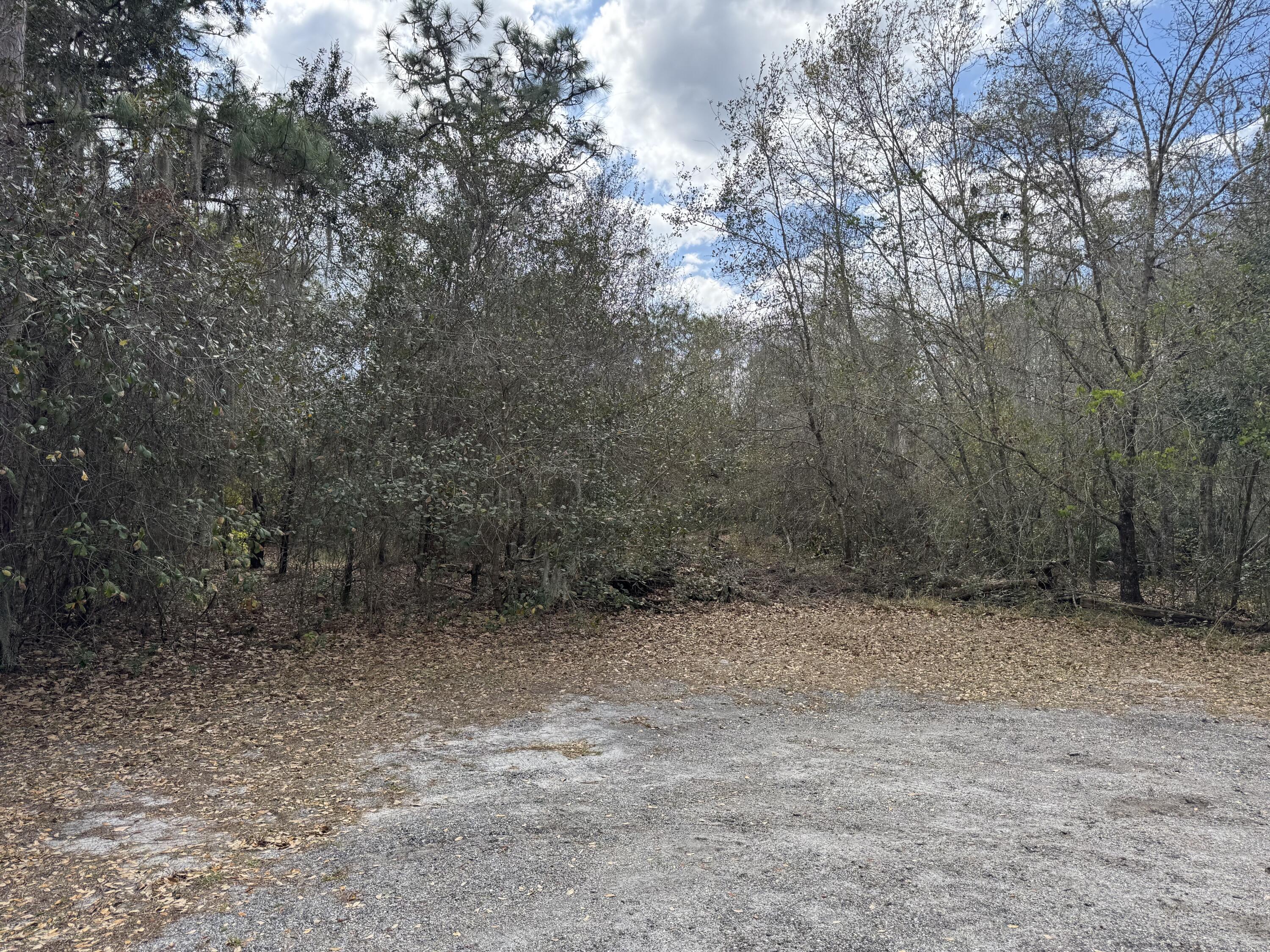 0 1st Street Kenansville, FL 34739 - Photo 1 of 4 a view of a dry yard with trees