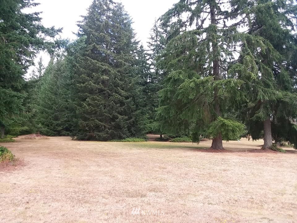 345 Tennessee Road Winlock, WA 98596 - Photo 11 of 25