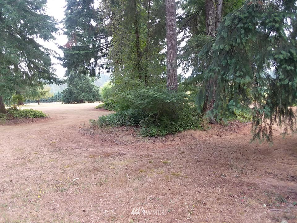 345 Tennessee Road Winlock, WA 98596 - Photo 10 of 25