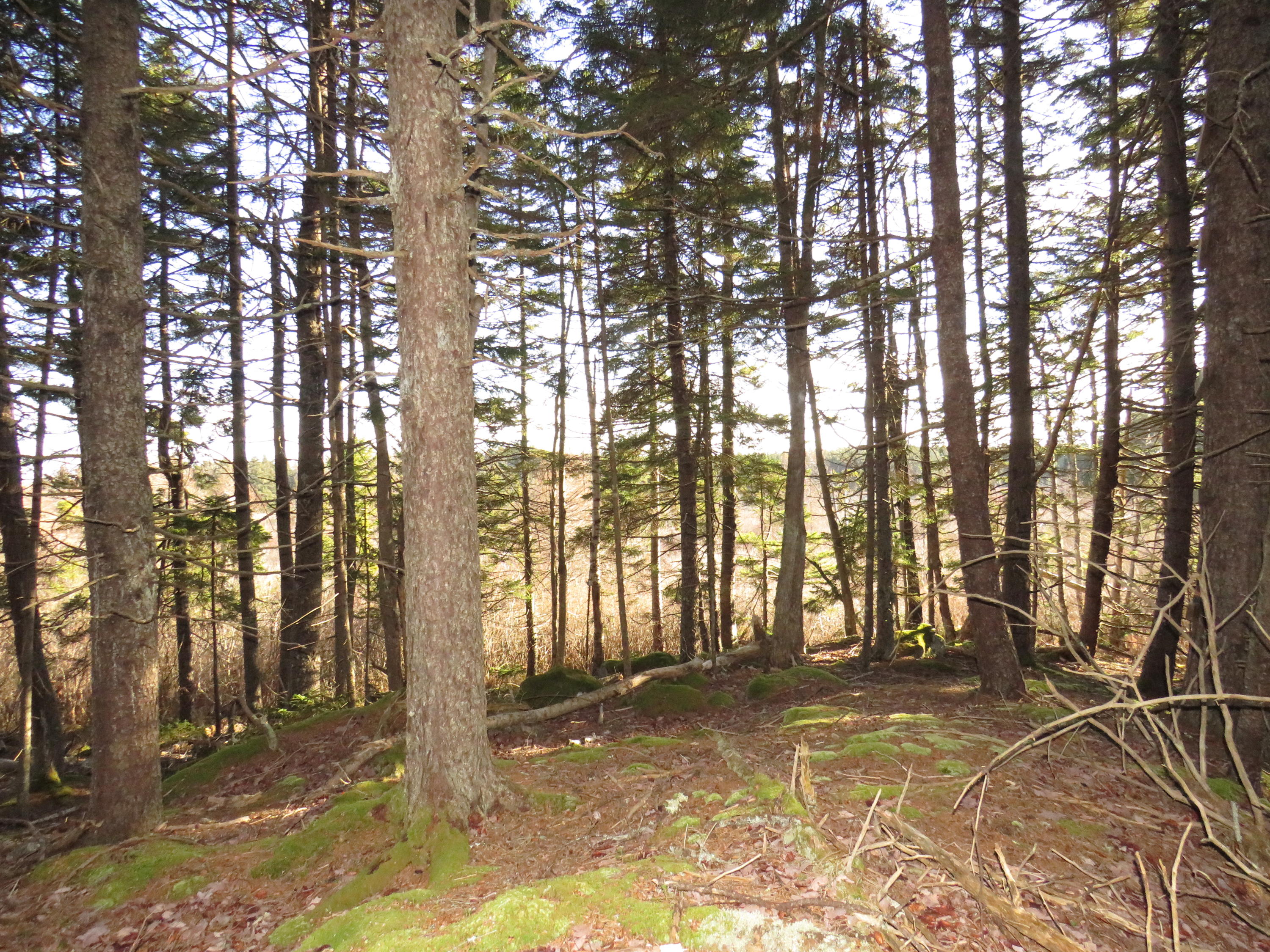 116 Glenmere Road St. George, ME 04860 - Photo 19 of 23 Borders Howard Pond