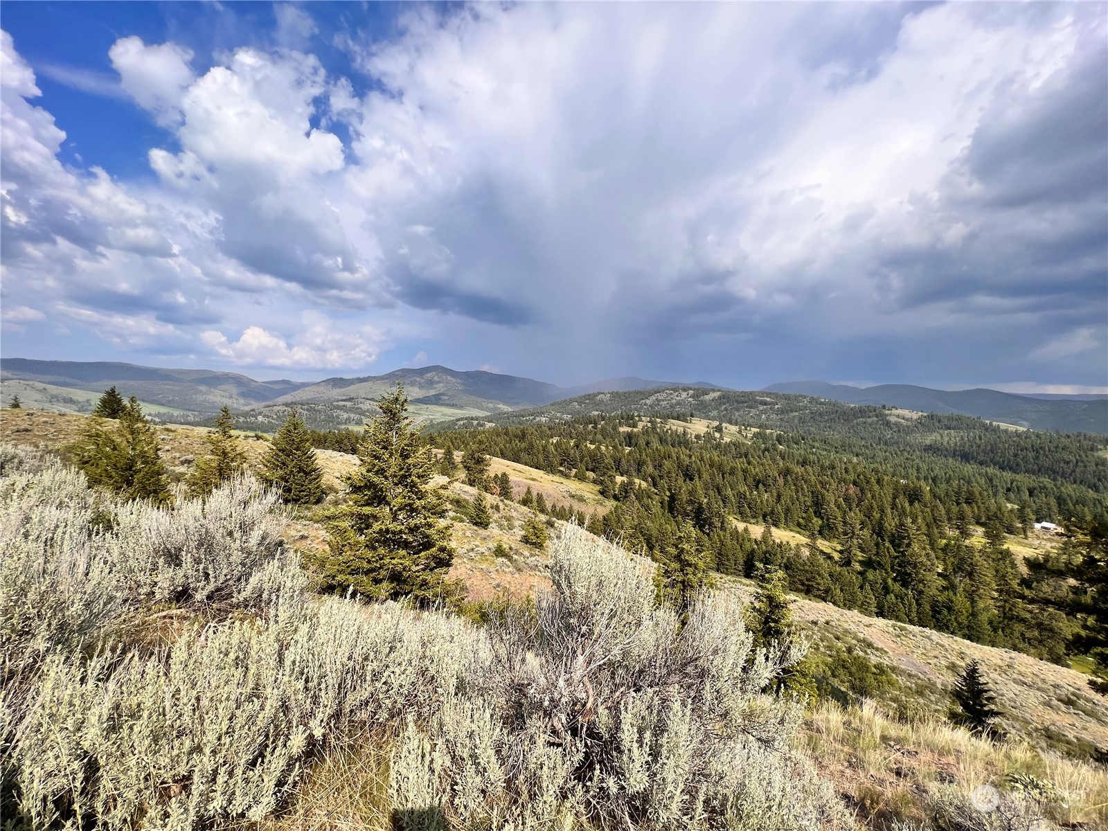 0 Lot 60 Oleander Road Republic, WA 99166 - Photo 11 of 27 Gallery Image 11