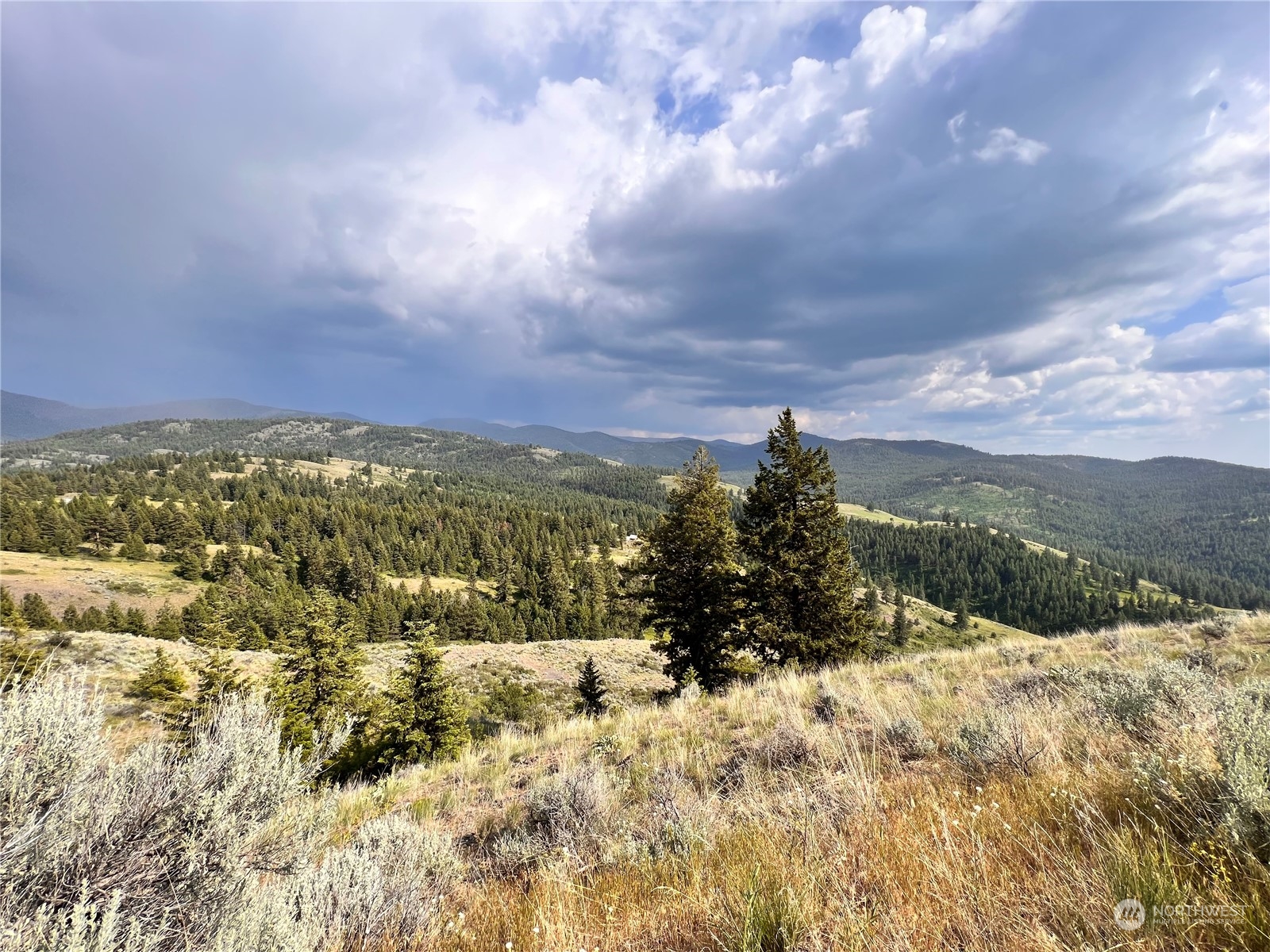 0 Lot 60 Oleander Road Republic, WA 99166 - Photo 12 of 27 Gallery Image 12