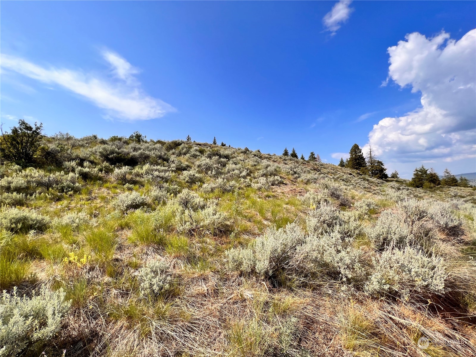 0 Lot 60 Oleander Road Republic, WA 99166 - Photo 14 of 27 Gallery Image 14