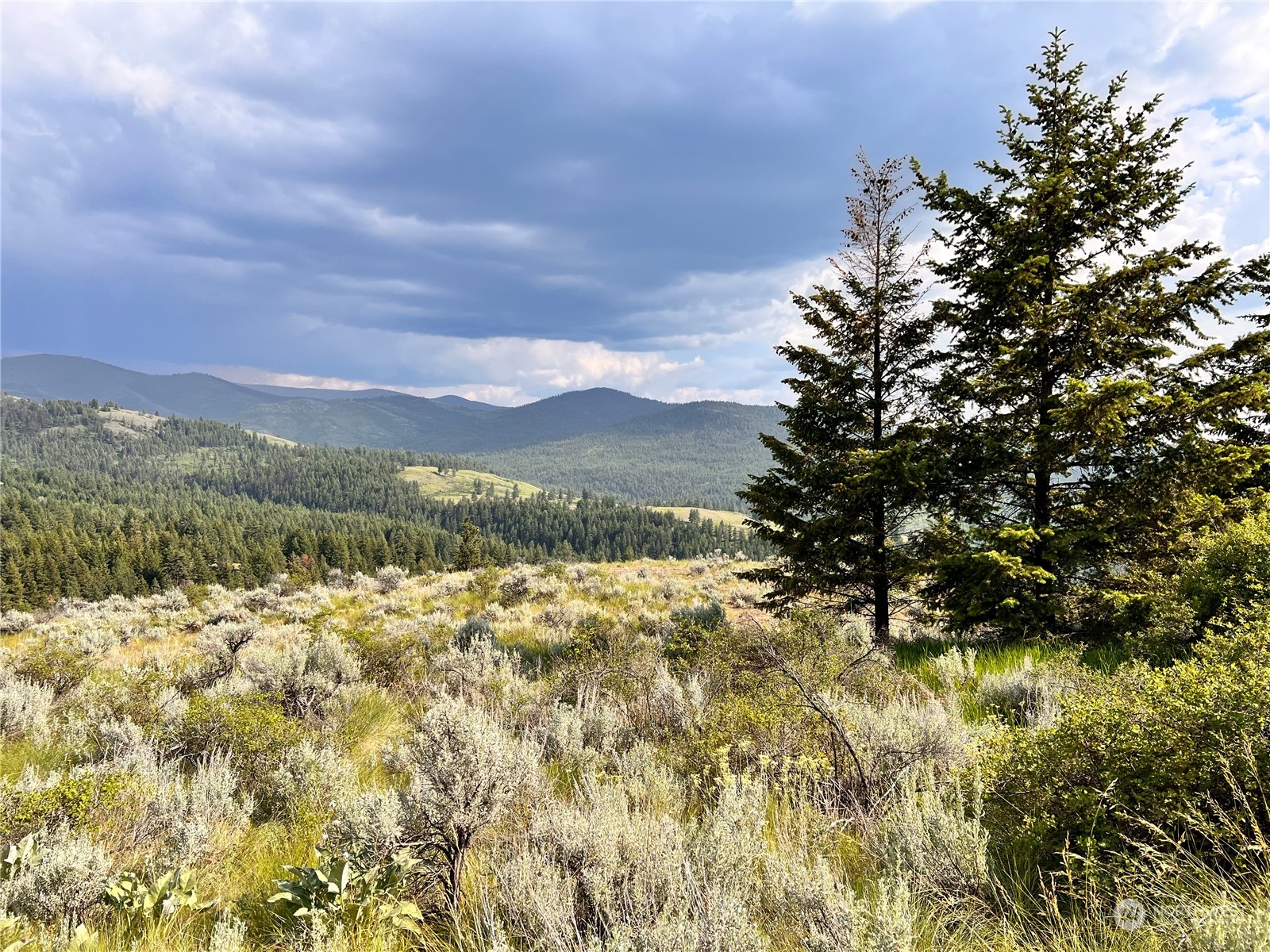 0 Lot 60 Oleander Road Republic, WA 99166 - Photo 16 of 27 Gallery Image 16
