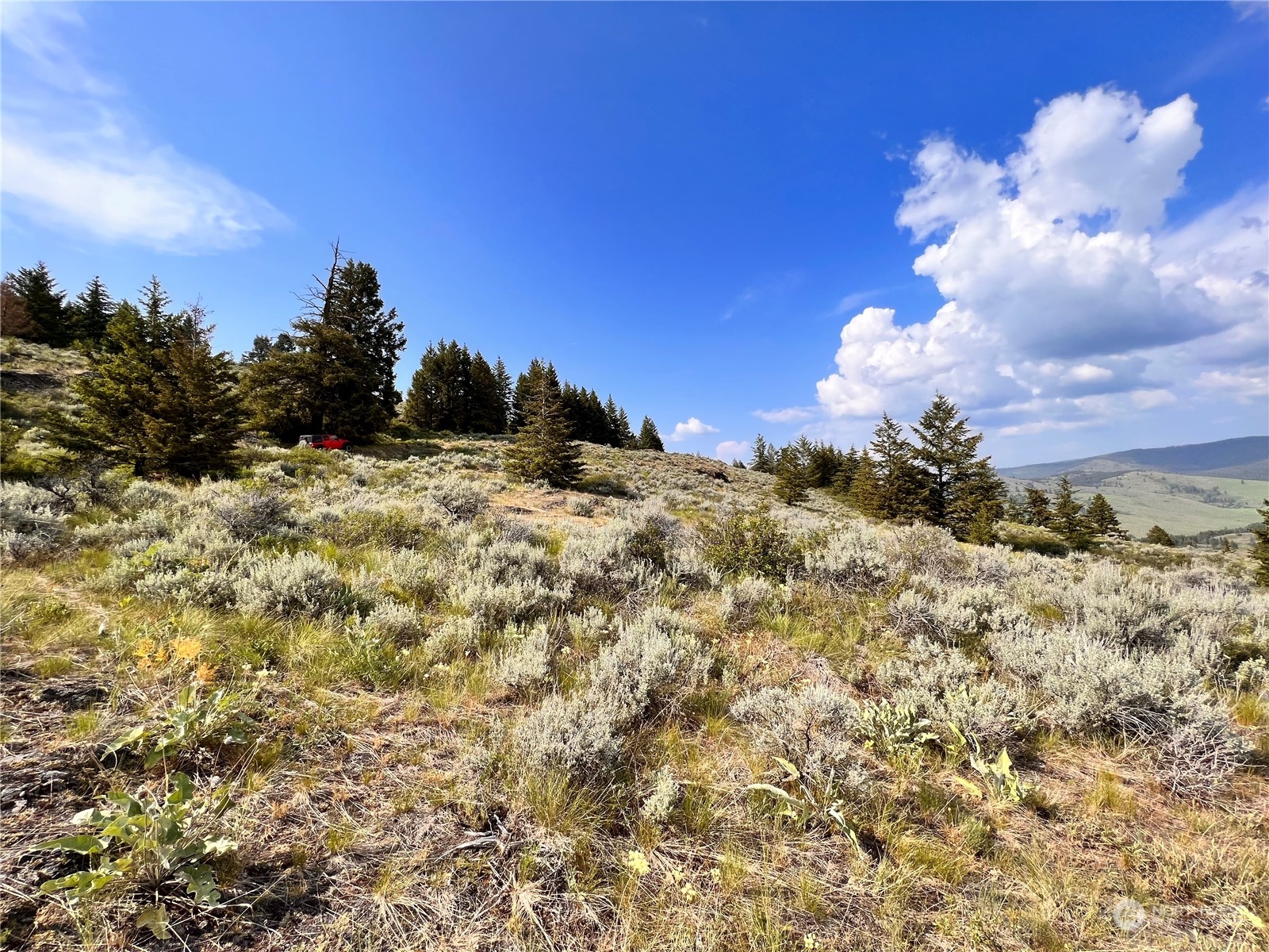 0 Lot 60 Oleander Road Republic, WA 99166 - Photo 20 of 27 Gallery Image 20