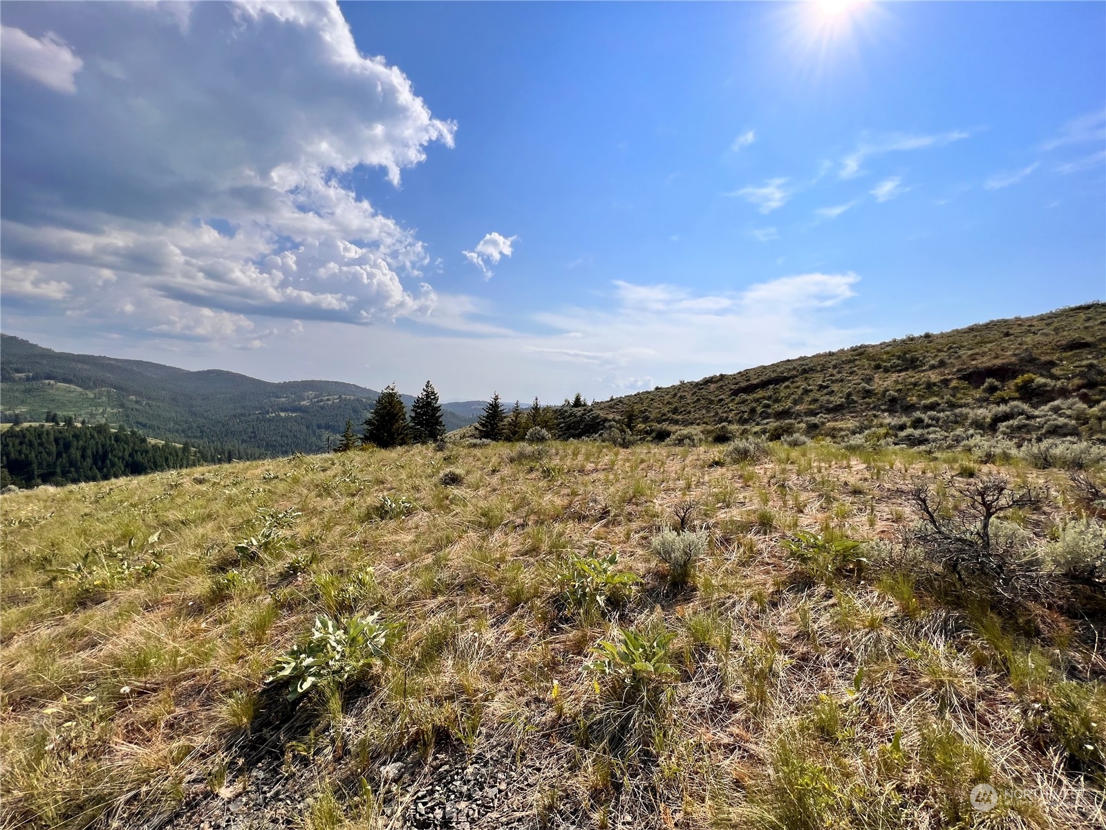0 Lot 60 Oleander Road Republic, WA 99166 - Photo 23 of 27 Gallery Image 23