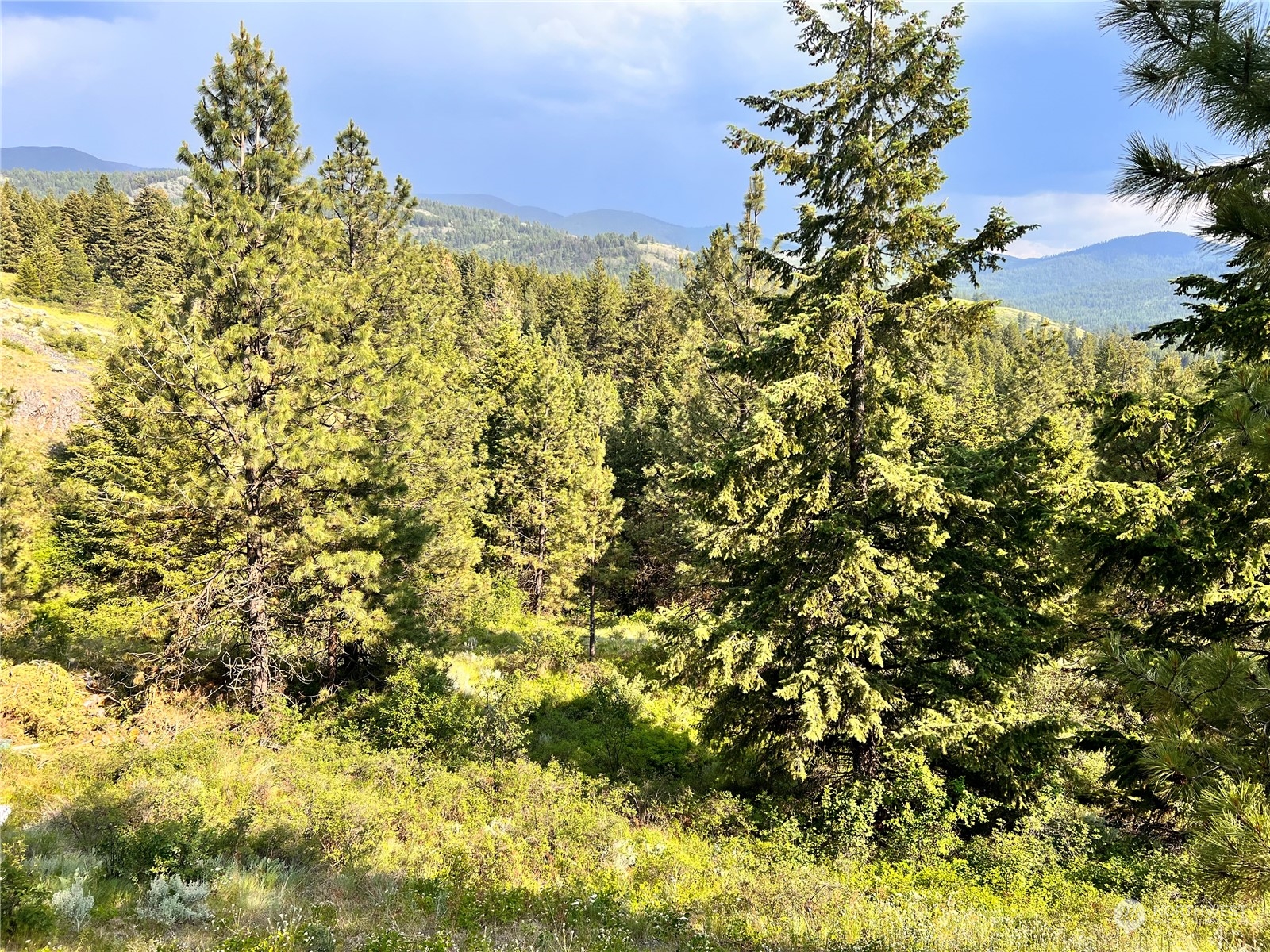 0 Lot 60 Oleander Road Republic, WA 99166 - Photo 24 of 27 Gallery Image 24