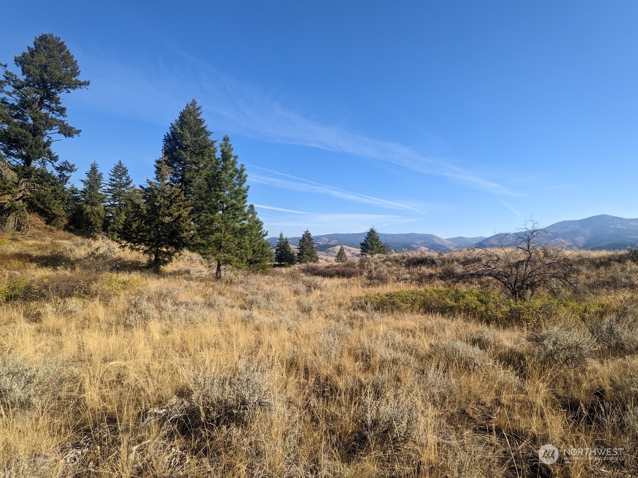 0 Lot 60 Oleander Road Republic, WA 99166 - Photo 27 of 27 Gallery Image 27