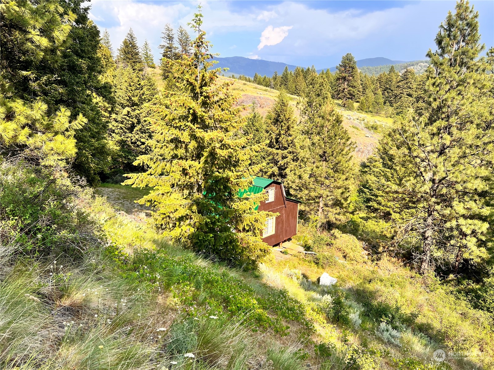 0 Lot 60 Oleander Road Republic, WA 99166 - Photo 10 of 27 Gallery Image 10