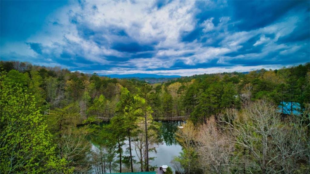 276 My Mountain Road Morganton, GA 30560 - Photo 58 of 73