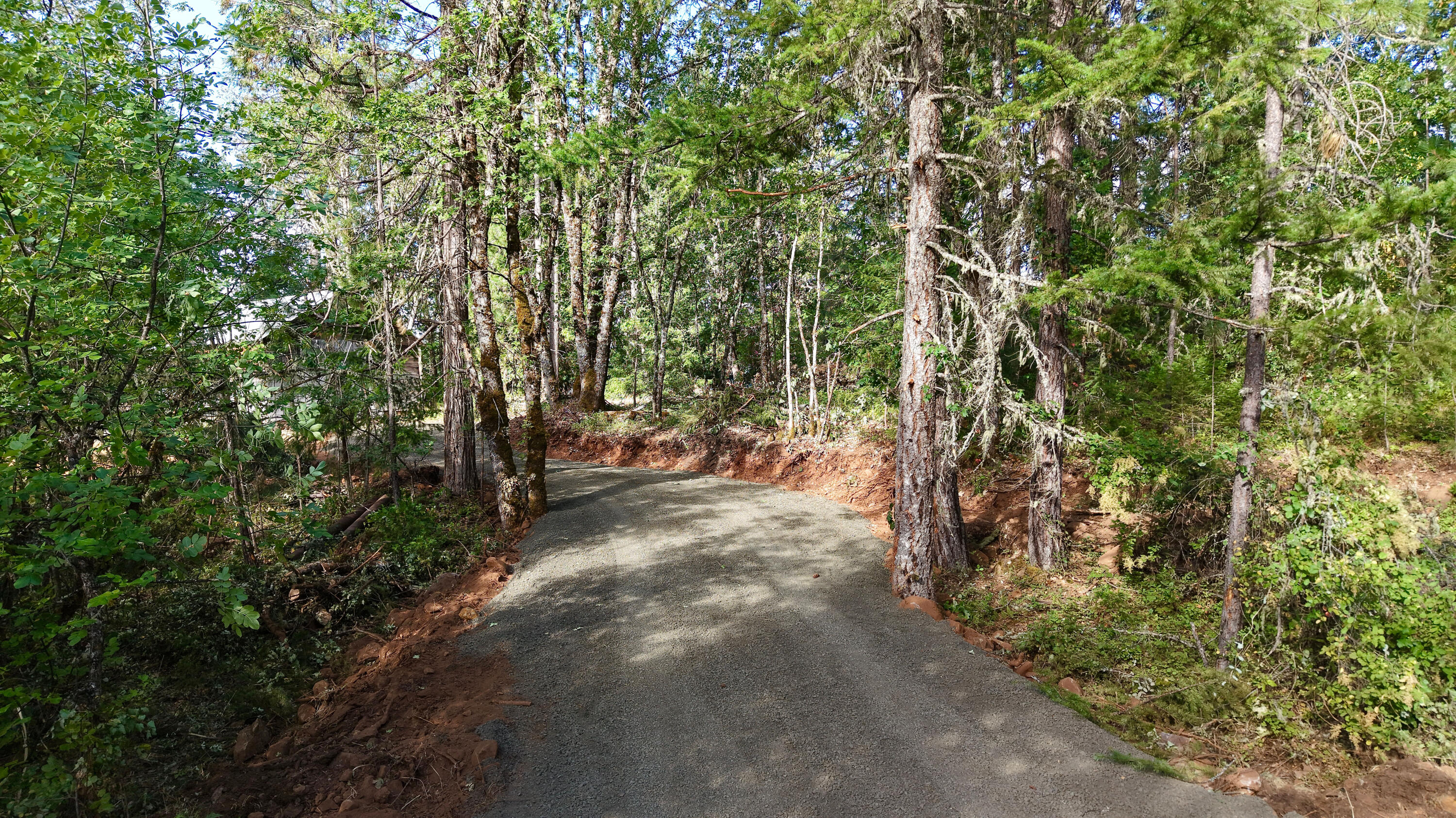 769 Mather Road Prospect, OR 97536 - Photo 43 of 70 Road into Property