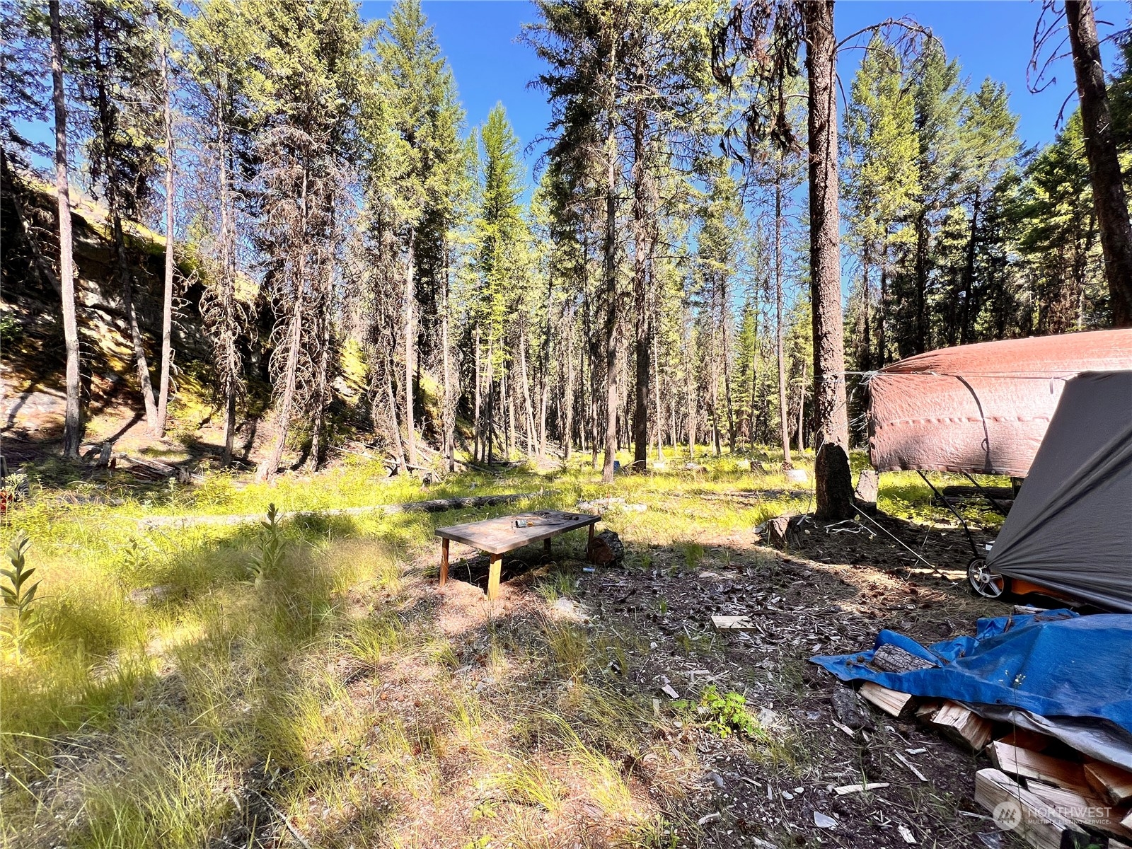 40 Excelsior Way Curlew, WA 99118 - Photo 12 of 20 a view of a swimming pool with sitting area and covered with trees