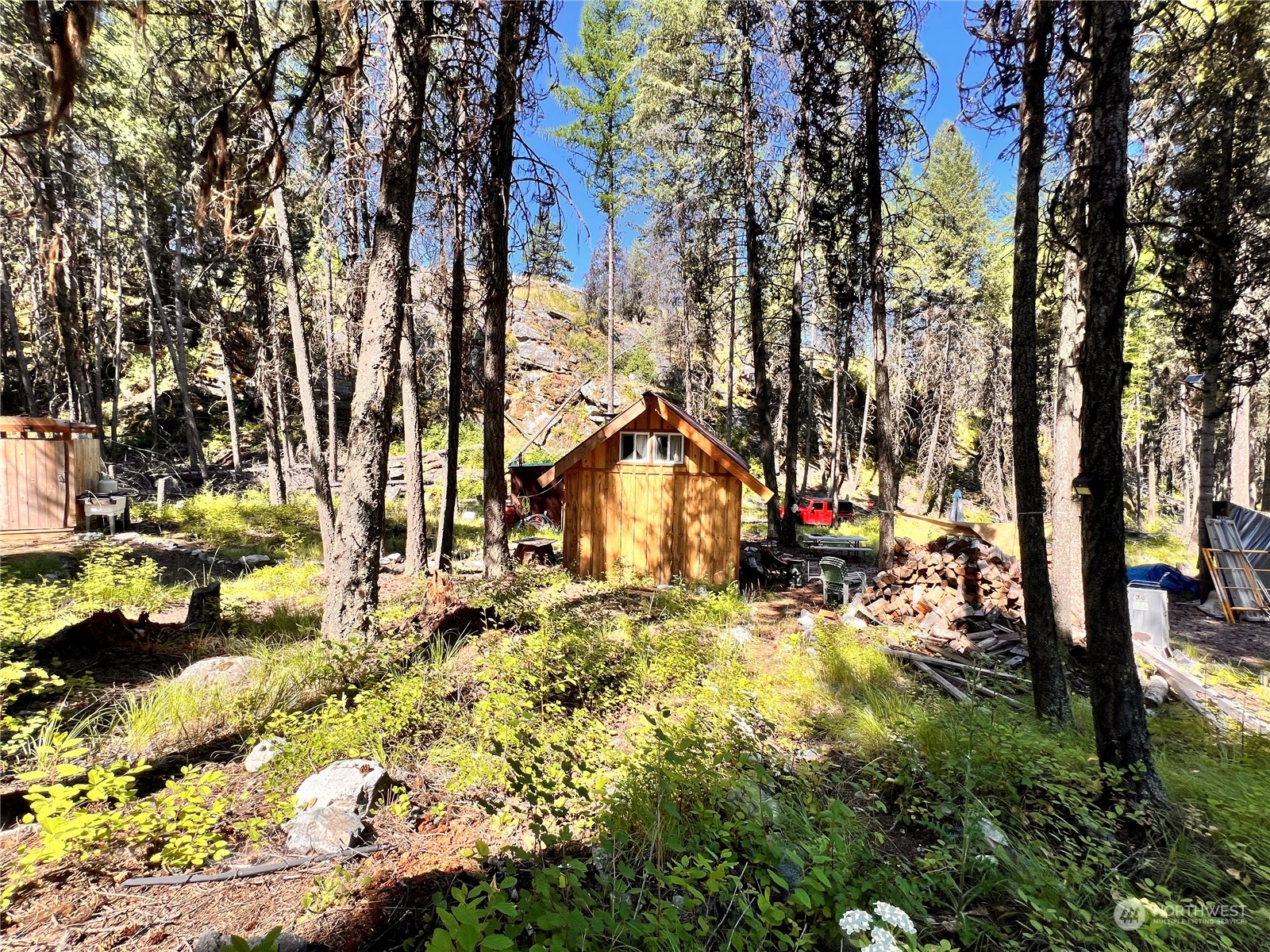 40 Excelsior Way Curlew, WA 99118 - Photo 15 of 20 a view of yard with tree