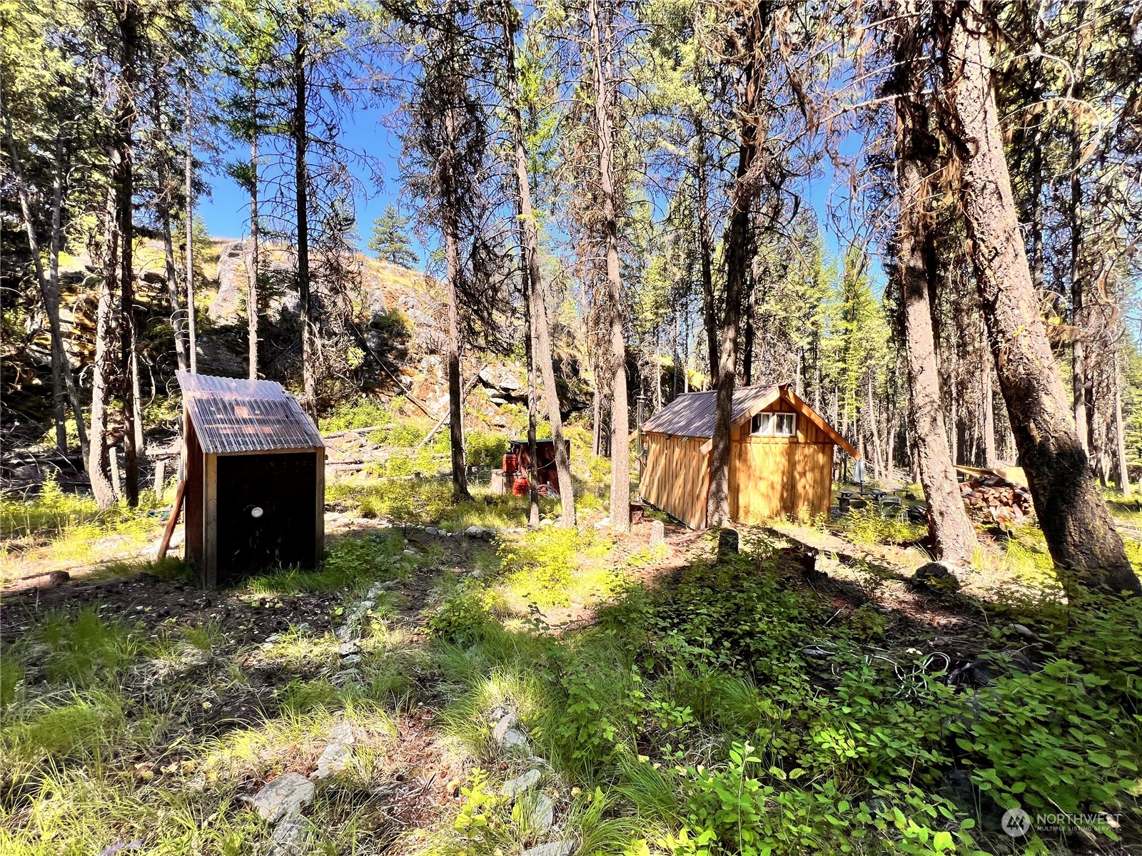 40 Excelsior Way Curlew, WA 99118 - Photo 16 of 20 a view of a yard with plants and large trees