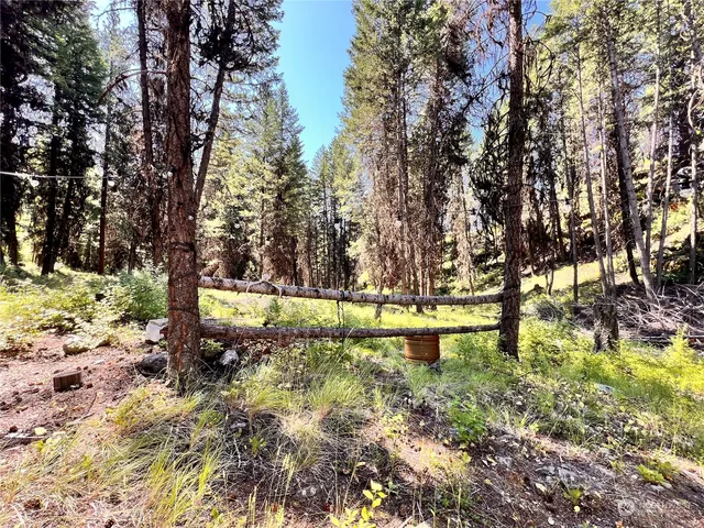 a view of swimming pool with a yard