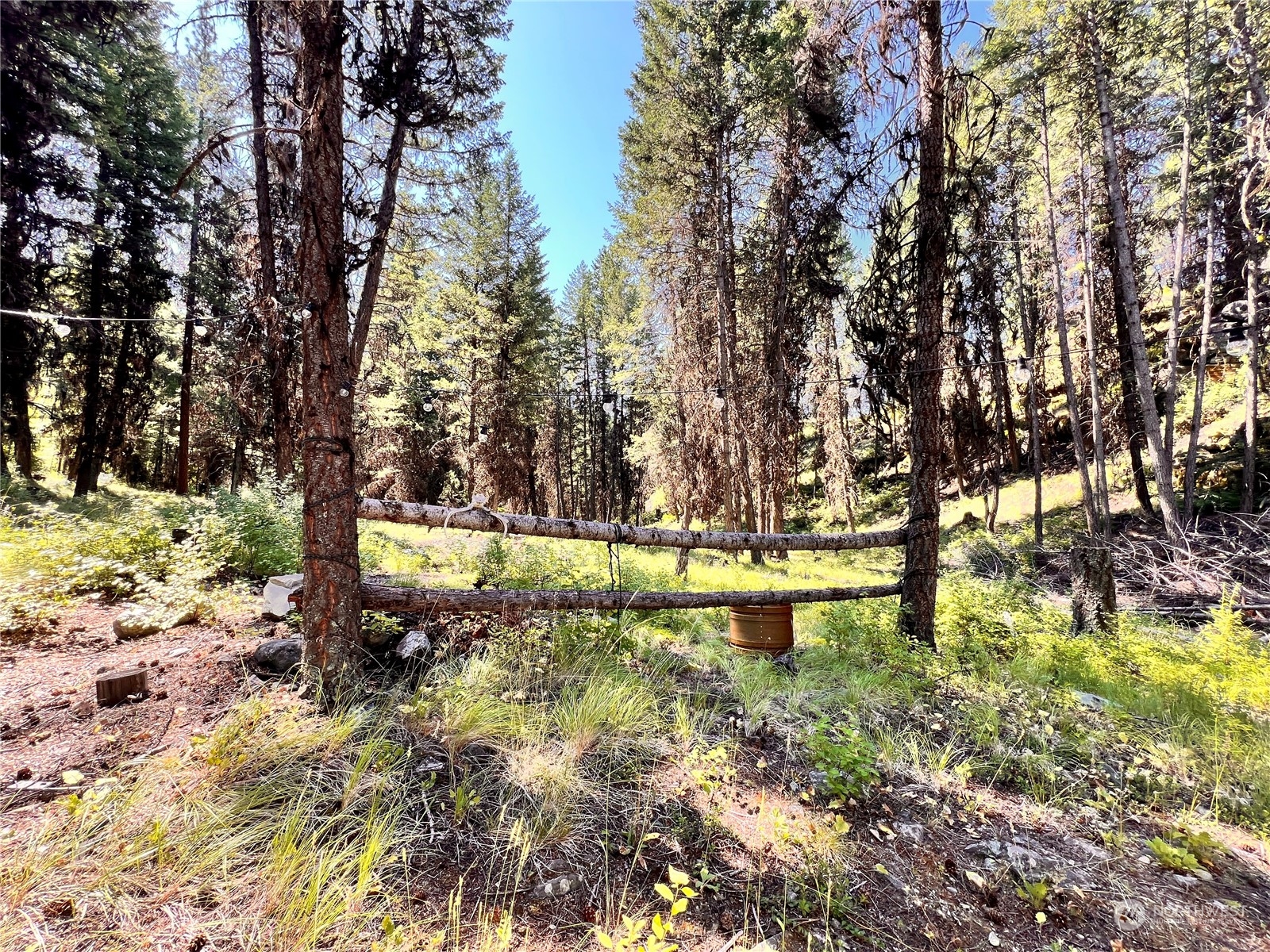 40 Excelsior Way Curlew, WA 99118 - Photo 20 of 20 a view of swimming pool with a yard