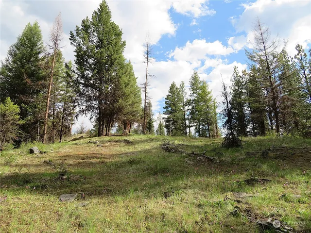 a view of a yard with a tree