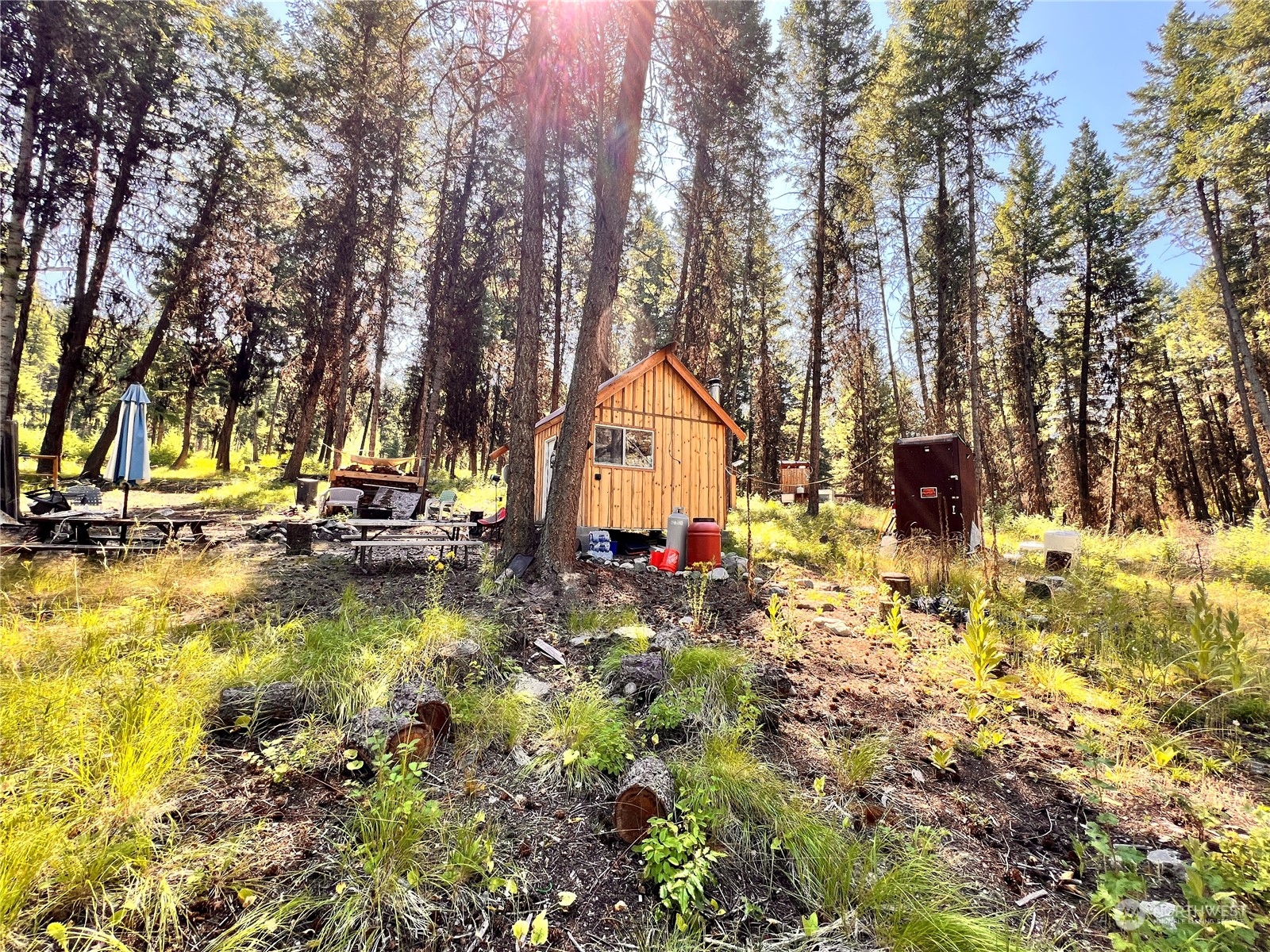 40 Excelsior Way Curlew, WA 99118 - Photo 10 of 20 a view of swimming pool with trees
