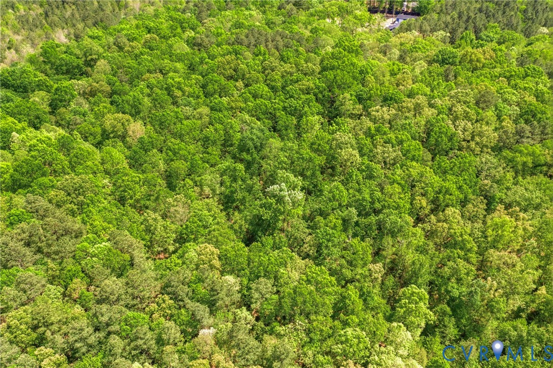 Lot 2 Colemans Lake Road Ford, VA 23850 - Photo 11 of 15 Lot 2 Colemans Lake Road