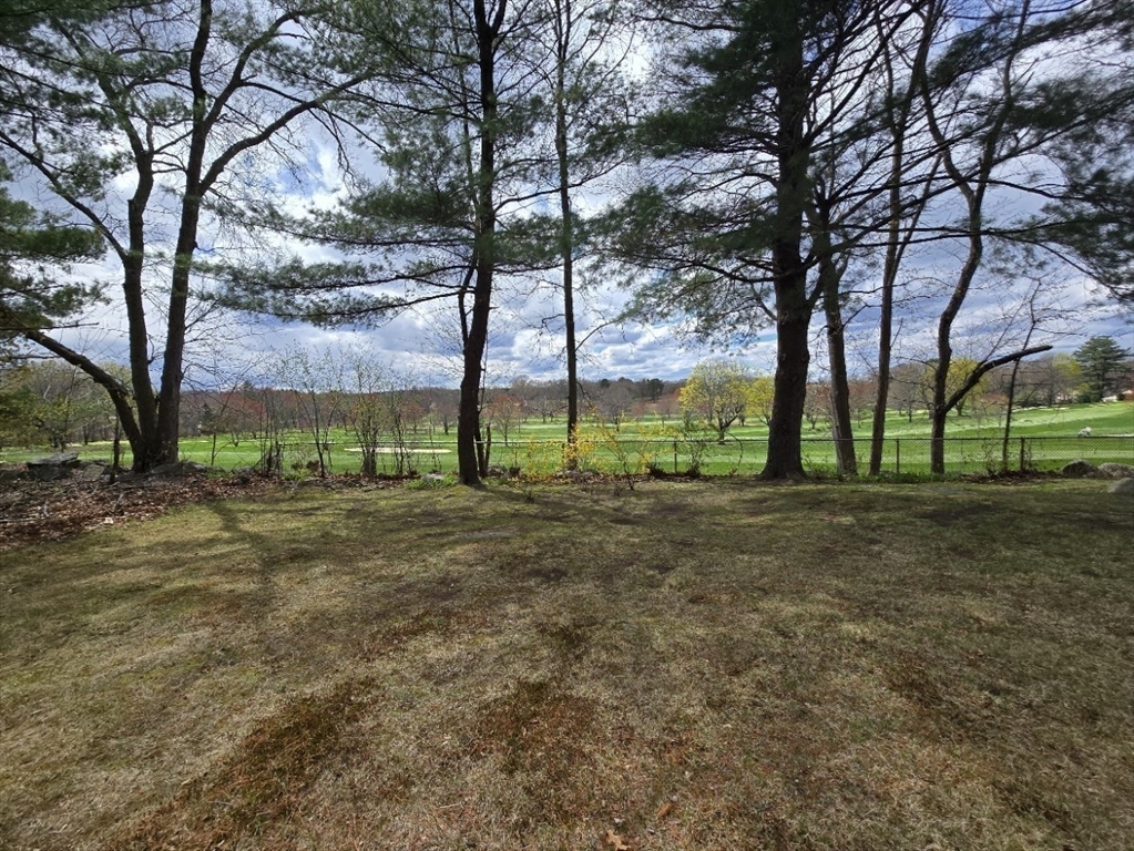 141 Westview Road Lowell, MA 01851 - Photo 18 of 39 a view of outdoor space with trees