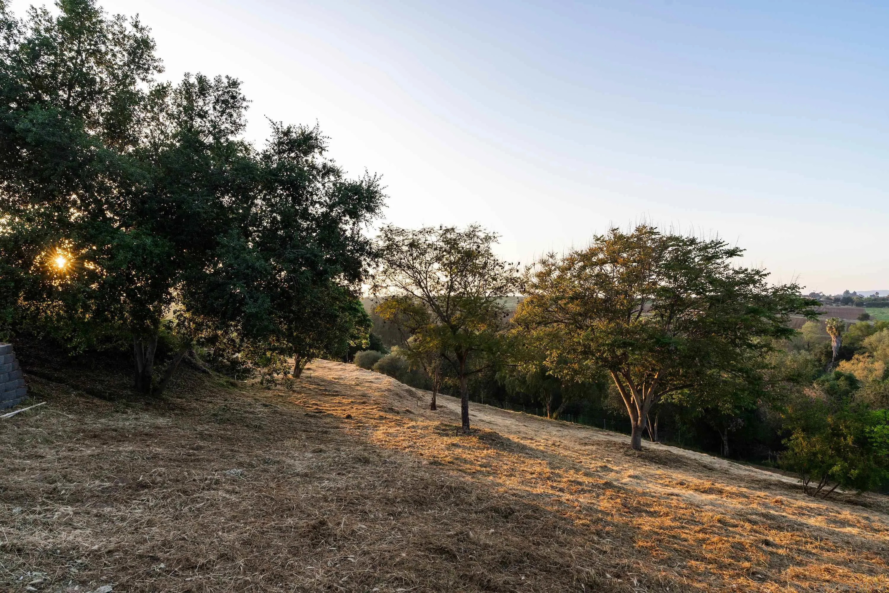 1834 Winterwarm Drive Fallbrook, CA 92028 - Photo 35 of 49 a view of empty space with large trees