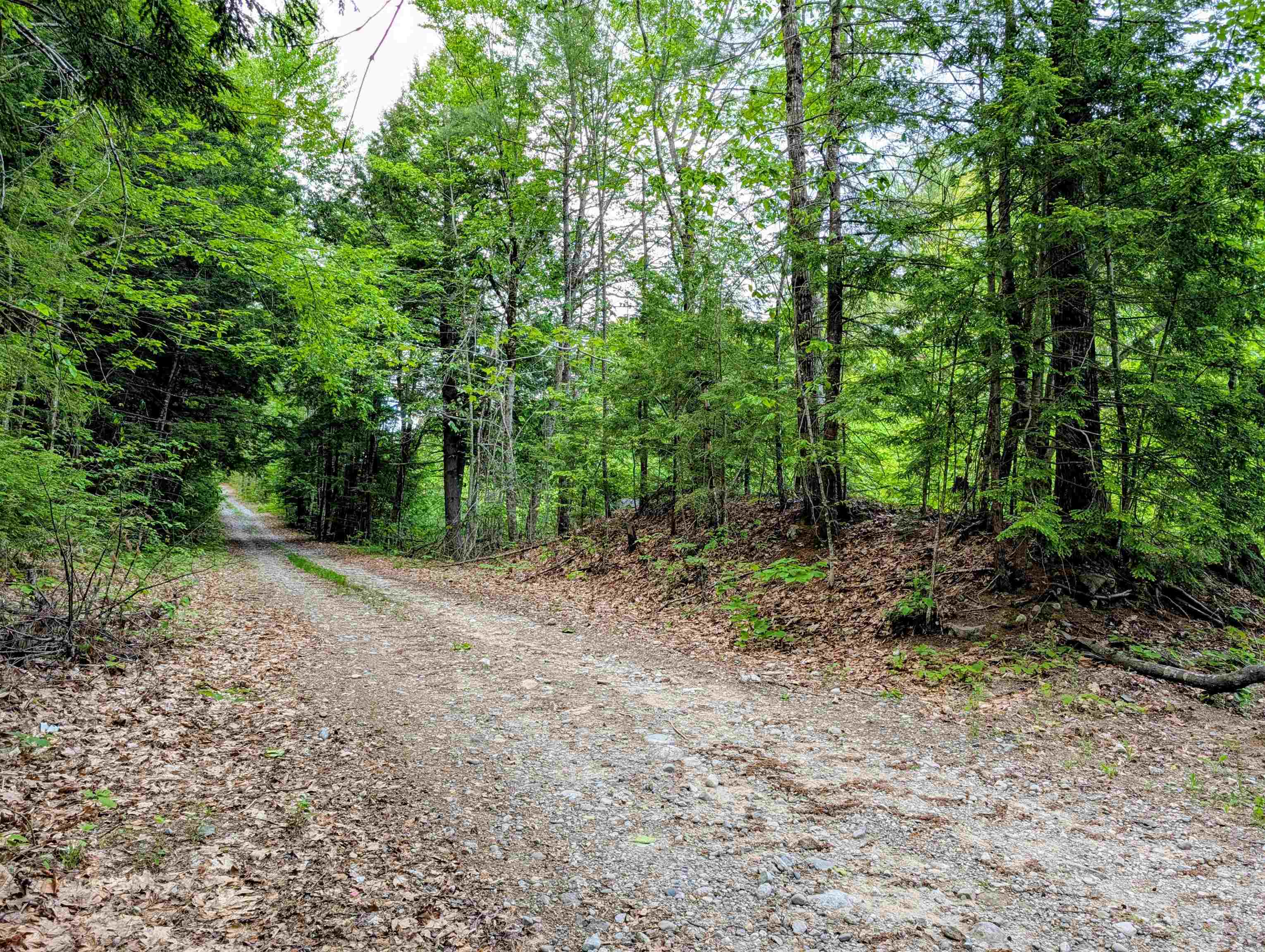 0 Access Road Sanbornville, NH 03872 - Photo 2 of 4