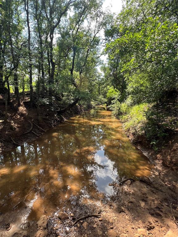 137 County Road 137 Road Cisco, TX 76437 - Photo 6 of 12
