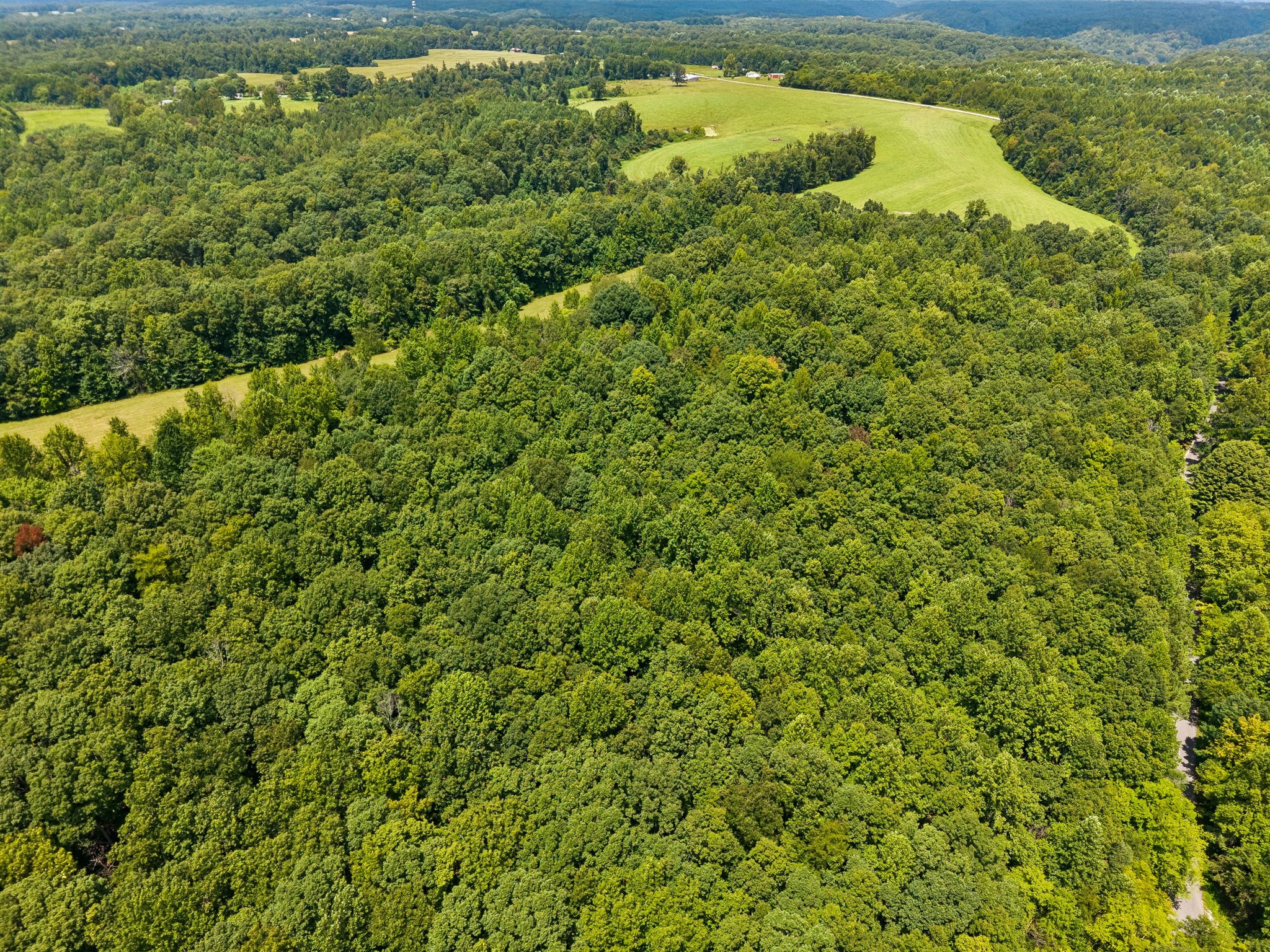 4647 Cowhorne Hollow Road Prospect, TN 38477 - Photo 15 of 26 Gallery Image 15