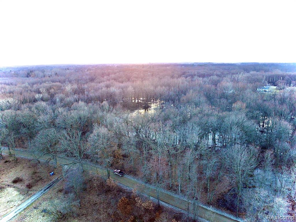 024 Howlett Road Gregory, MI 48137 - Photo 6 of 9