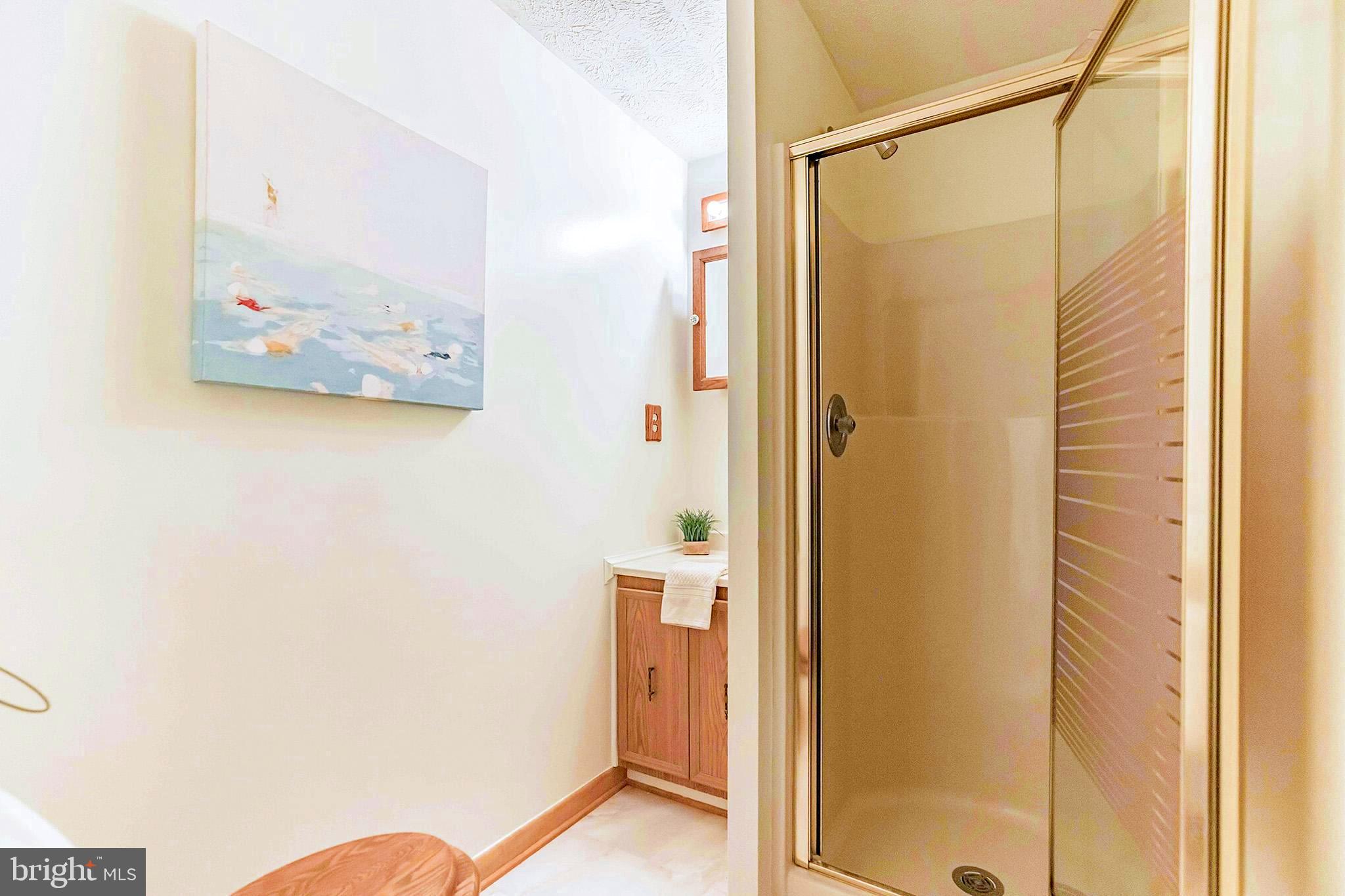 535 Swaggers Point Road Solomons, MD 20688 - Photo 13 of 48 Full bath
