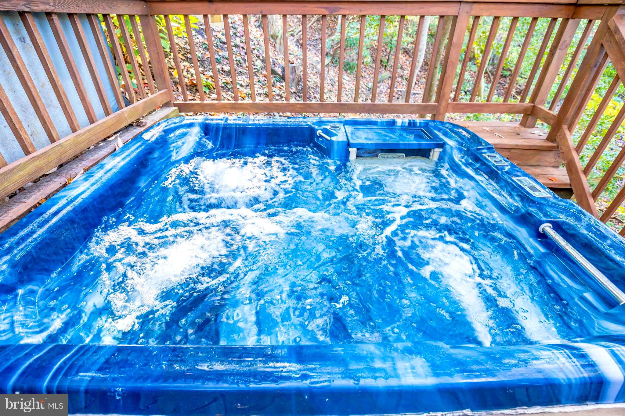 535 Swaggers Point Road Solomons, MD 20688 - Photo 32 of 48 Year round hot tub