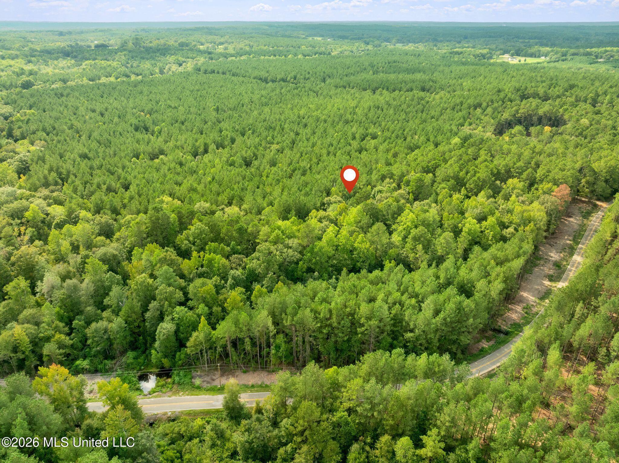 15-acres Porter Hudson Road Sumrall, MS 39482 - Photo 10 of 16 0_Porter_Hudson_Rd-10