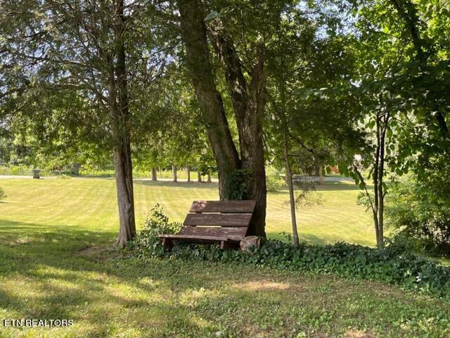 5561 Dearing Road Talbott, TN 37877 - Photo 54 of 60 RELAX UNDER THE TREES