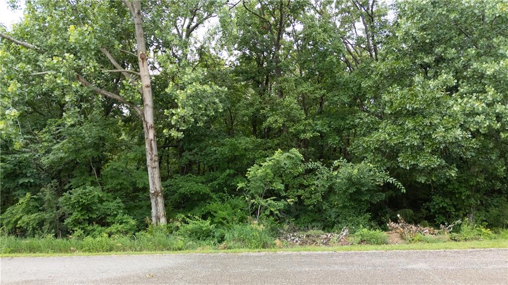 Lot 66 Southeast 591st Road Warrensburg, MO 64093 - Photo 8 of 11