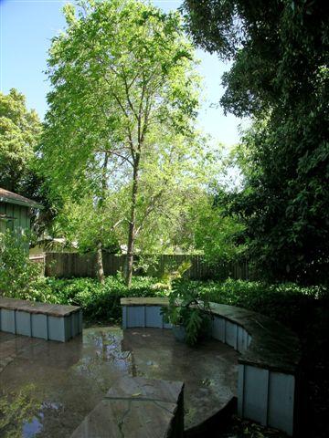 381 North La Cumbre Road Santa Barbara, CA 93110 - Photo 14 of 17 Rear Exterior of Property