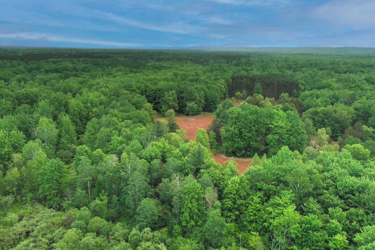 0 Thurman Road Thompsonville, MI 49683 - Photo 10 of 52