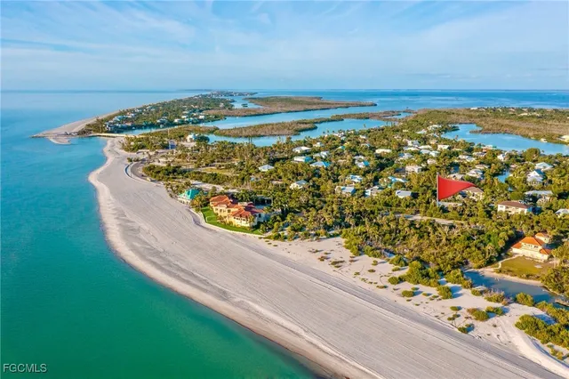 a view of a large body of water with lots of bushes