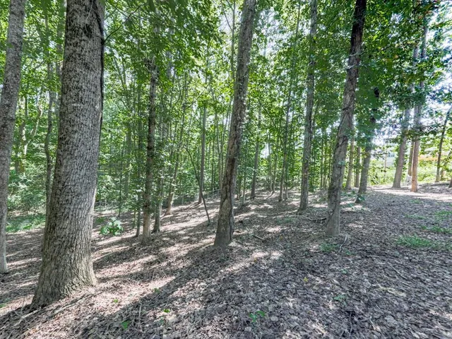 a backyard of a house with barbeque oven
