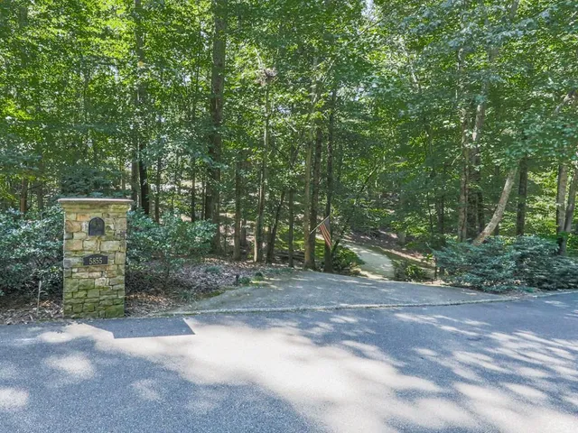 a view of a out door of the forest