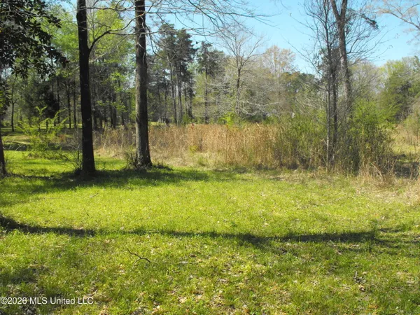 $110,000 | 0 Berry Drive, Florence, MS 39073