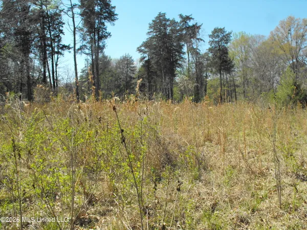 $110,000 | 0 Berry Drive, Florence, MS 39073