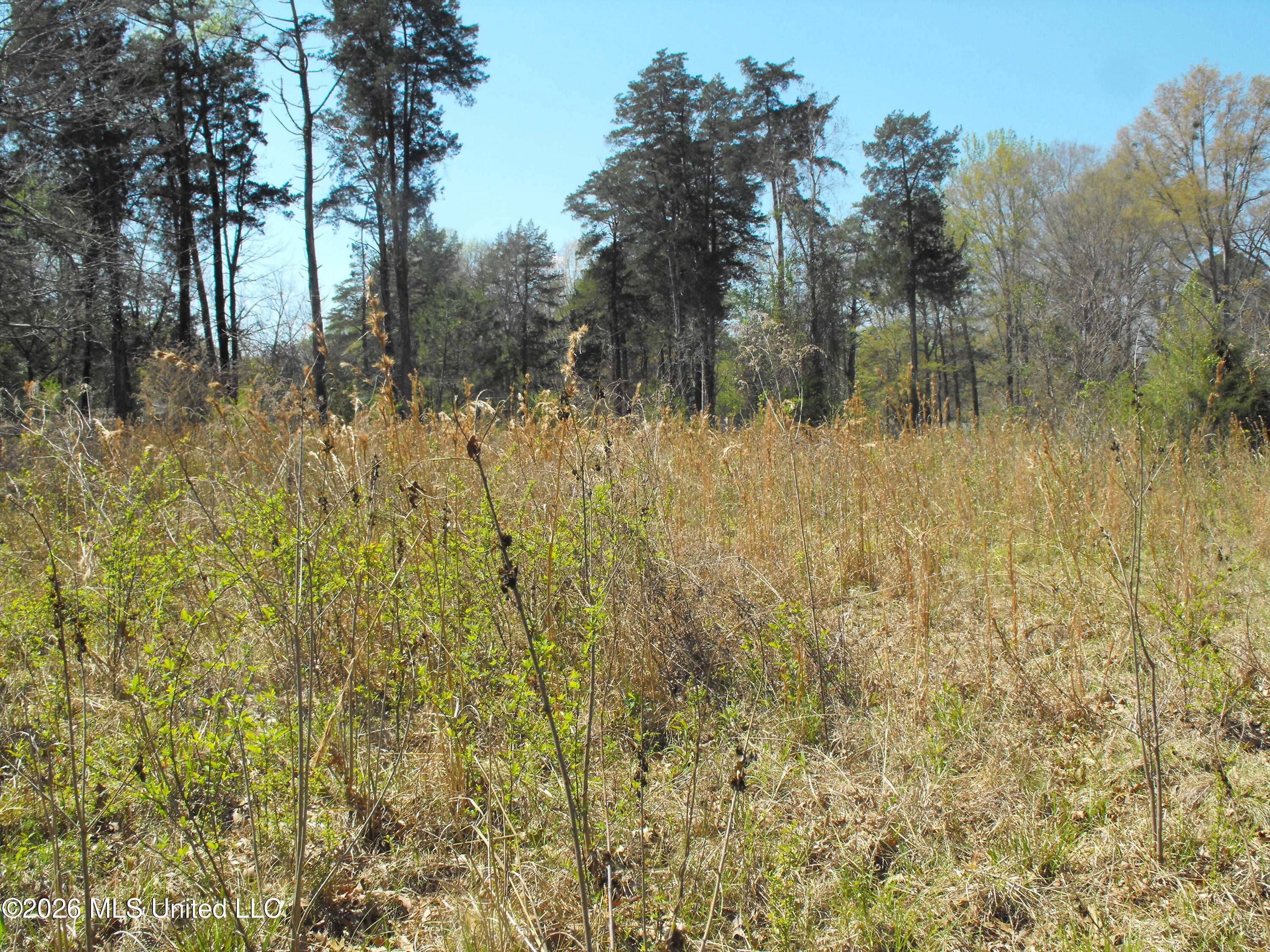 0 Berry Drive Florence, MS 39073 - Photo 2 of 9 DSCF7284