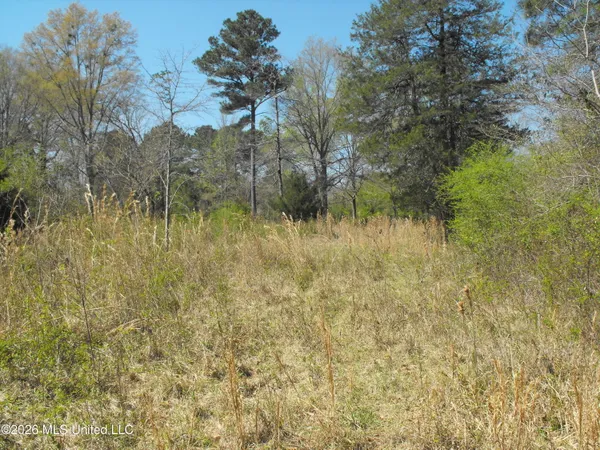 $110,000 | 0 Berry Drive, Florence, MS 39073