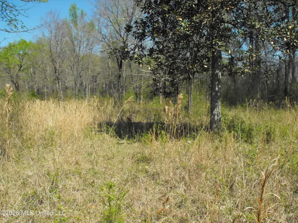 $110,000 | 0 Berry Drive, Florence, MS 39073