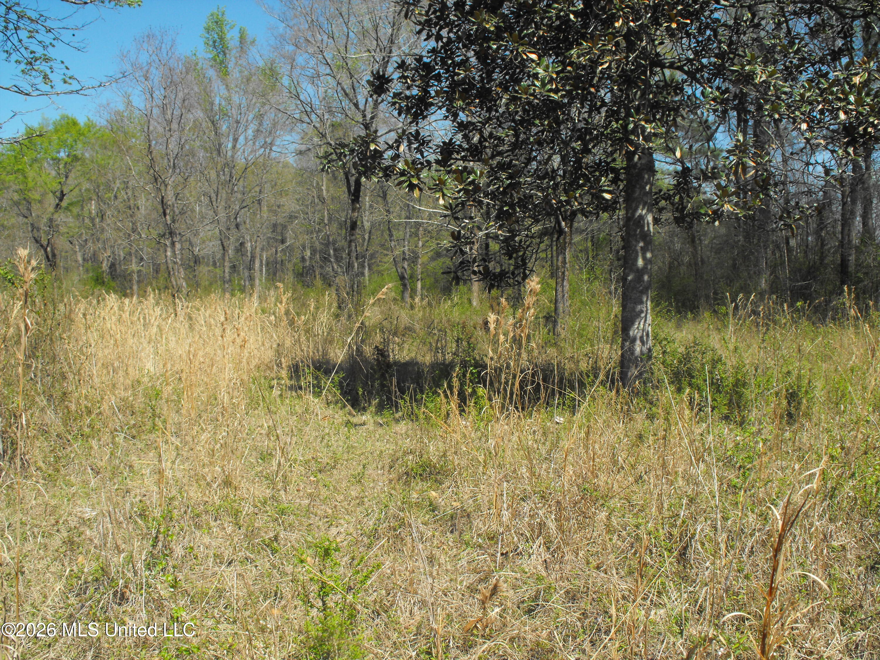 0 Berry Drive Florence, MS 39073 - Photo 4 of 9 DSCF7286