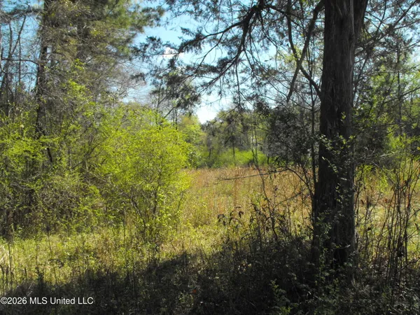 $110,000 | 0 Berry Drive, Florence, MS 39073