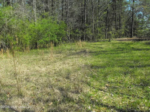 $110,000 | 0 Berry Drive, Florence, MS 39073