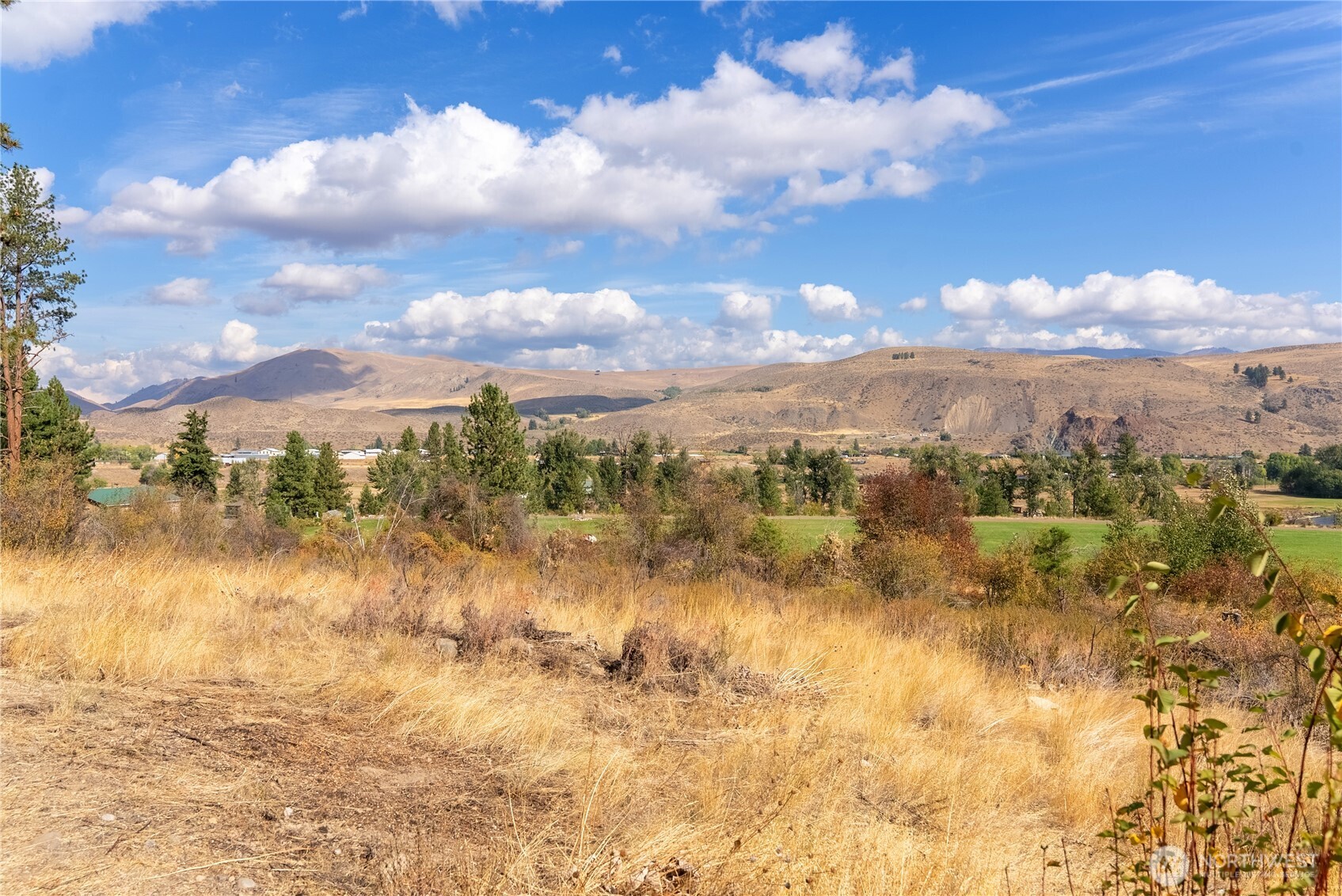803 C Twisp Carlton Road Twisp, WA 98856 - Photo 6 of 14 Gallery Image 6